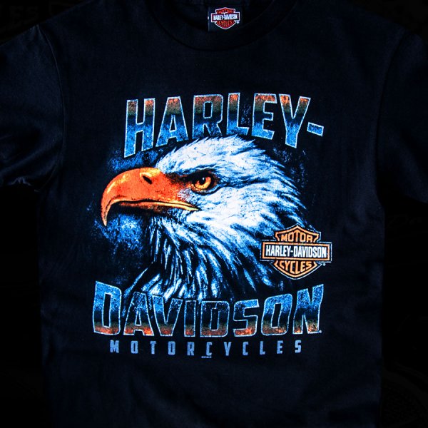 状態ハーレーダビッドソン HARLEYDAVIDSON 半袖Tシャツ