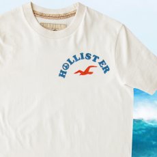 画像3: ホリスター 半袖 Tシャツ ハイビスカス ナチュラル/Hollister Short Sleeve T-Shirt LAGUNA BEACH HAN TEN HCO SO CALIF (3)