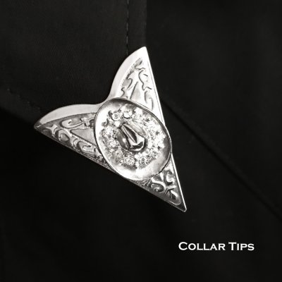 画像1: ウエスタン カラーチップ シルバー クリスタル カウボーイ ハット/Collar Tip w/ Cowboy Hat Silver 