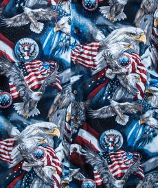 画像3: アメリカンイーグル&アメリカンフラッグ ハワイアンシャツ キャンプシャツ（半袖）大きいサイズ/American Eagle  American flag Short Sleeve Shirt (3)