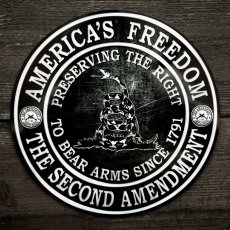 画像1: アメリカ製 ティンサイン メタルサイン アメリカズ フリーダム /Metal Sign Americas Freedom (1)