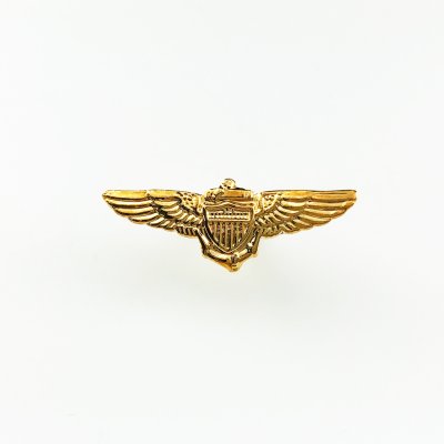 画像1: ピンバッジ アメリカ海兵隊航空部隊 パイロット ピンズ/United States Marine Corps Aviation Pilot Pin