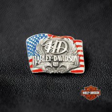 画像1: ハーレーダビッドソン アメリカ国旗&アメリカンイーグル ピンバッジ/Harley Davidson U.S. Flag&American Eagle Pins (1)