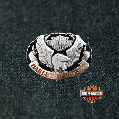 画像1: ハーレーダビッドソン アメリカンイーグル ピンバッジ（ブラック）/Harley Davidson American Eagle Pins